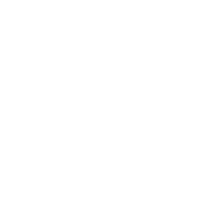 Minniemob